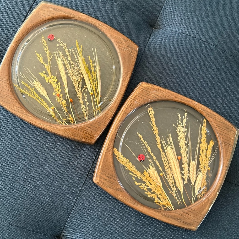 Vintage pair of lucite trivets, wheat, dried grass, ladybugs, wood grain